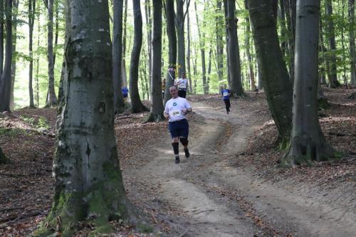 IMG 4006 (1)