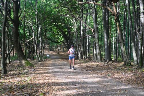 Porolissum-Trail-2023-306