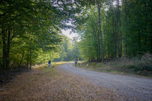 Porolissum-Trail-2023-43