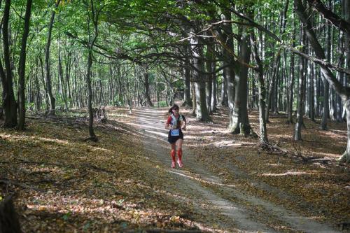Porolissum-Trail-2023-482