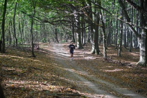 Porolissum-Trail-2023-484